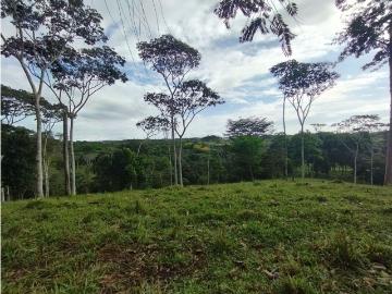 Cortijo de alto standing en venta La Chorrera, Panamá