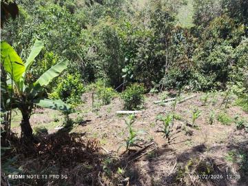 Cortijo de alto standing en venta La Unión, Colombia