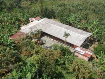 Cortijo de alto standing en venta Montenegro, Colombia