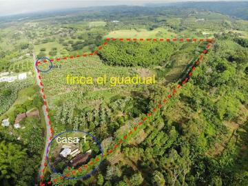 Cortijo de alto standing en venta Montenegro, Colombia