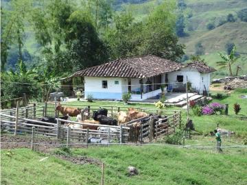 Cortijo de alto standing en venta Montenegro, Quindío Department