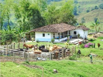 Cortijo de alto standing en venta Montenegro, Quindío Department