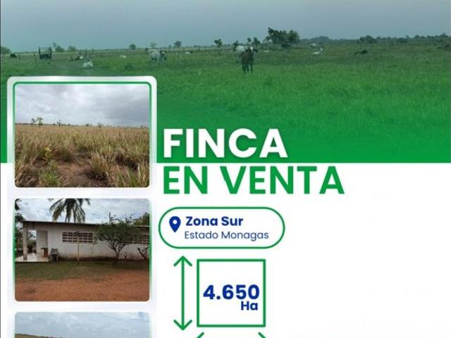 Cortijo de alto standing en venta Maturín, Venezuela