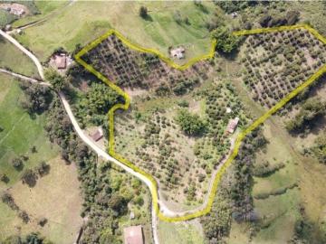 Cortijo de alto standing en venta Marinilla, Colombia