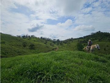 Cortijo de alto standing en venta Metetí, Panamá 130763 LuxuryEstate. Com