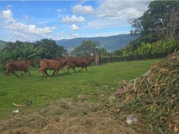 Vivienda de lujo en venta Copacabana, Departamento de Antioquia
