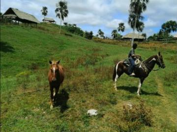 Cortijo de alto standing en venta Necocli, Colombia