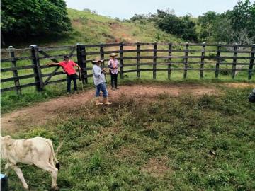 Cortijo de alto standing en venta Necocli, Colombia