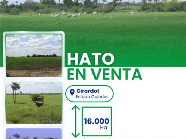 Cortijo de alto standing en venta San Carlos, Estado Cojedes