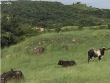 Cortijo de alto standing en venta San Carlos, Panamá Oeste