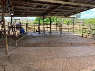 Cortijo de alto standing en venta San Félix, Panamá