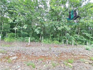 Cortijo de alto standing en venta San Félix, Panamá 130652 LuxuryEstate. Com