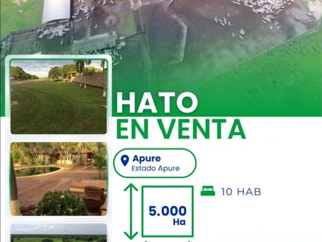 Cortijo de alto standing en venta San Fernando de Apure, Estado Apure