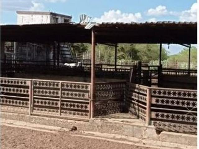 Cortijo de alto standing en venta San Juan de Los Morros, Venezuela