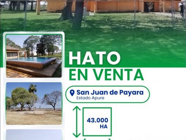 Cortijo de alto standing en venta San Juan de Payara, Venezuela