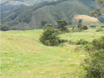 Cortijo de alto standing en venta San José de la Montaña, Colombia