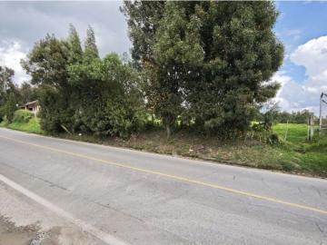 Cortijo de alto standing en venta San Pedro, Departamento de Antioquia