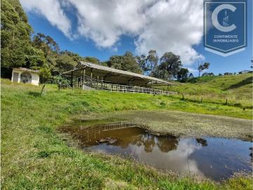 Cortijo de alto standing en venta San Pedro, Departamento de Antioquia