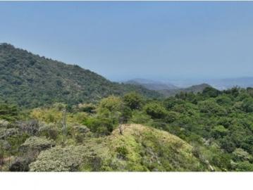 Cortijo de alto standing en venta Santa Marta, Departamento del Magdalena