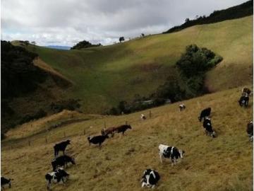 Cortijo de alto standing en venta Subachoque, Cundinamarca