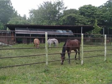 Cortijo de alto standing en venta Pacora, Panamá