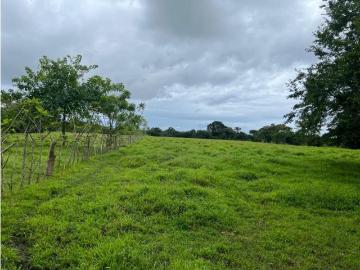 Cortijo de alto standing en venta Pedasí, Panamá