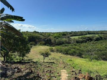 Cortijo de alto standing en venta Penonomé, Provincia de Coclé