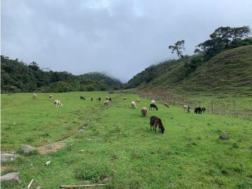 Cortijo de alto standing en venta Pueblo Rico, Colombia