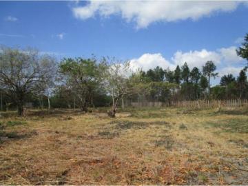Cortijo de alto standing en venta Río Hato, Panamá