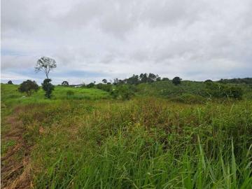 Cortijo de alto standing en venta Río Sereno, Panamá 130651 LuxuryEstate. Com