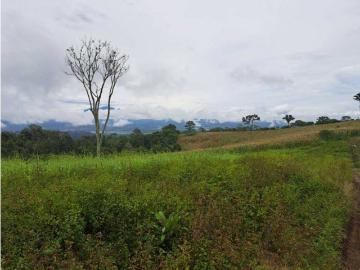 Cortijo de alto standing en venta Río Sereno, Panamá