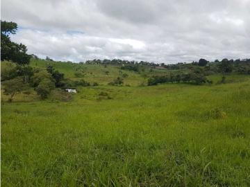 Cortijo de alto standing en venta Río Sereno, Provincia de Chiriquí 130651 LuxuryEstate. Com