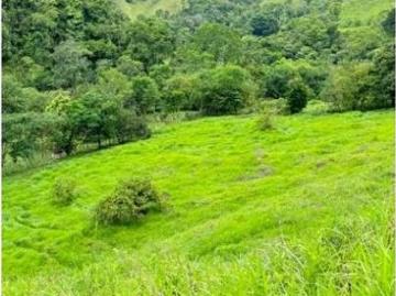 Cortijo de alto standing en venta Río Sereno, Provincia de Chiriquí 130701 LuxuryEstate. Com