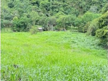 Cortijo de alto standing en venta Río Sereno, Provincia de Chiriquí