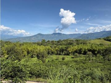 Cortijo de alto standing en venta Támesis, Departamento de Antioquia