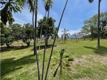 Cortijo de alto standing en venta Tarso, Colombia