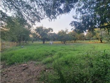 Cortijo de alto standing en venta Tetecala, Estado de Morelos