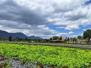 Cortijo de alto standing en venta Tenjo, Cundinamarca