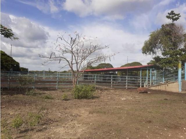 Cortijo de alto standing en venta Tinaquillo, Estado Cojedes