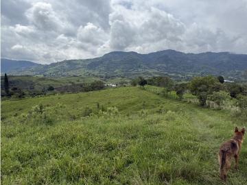 Cortijo de alto standing en venta Tuluá, Departamento del Valle del Cauca