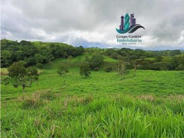 Cortijo de alto standing en venta Volcán, Panamá