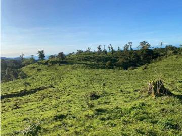 Cortijo de alto standing en venta Volcán, Panamá