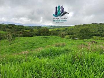 Cortijo de alto standing en venta Volcán, Panamá 130652 LuxuryEstate. Com