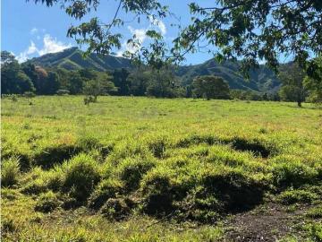 Cortijo de alto standing en venta Volcán, Provincia de Chiriquí
