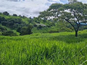 Cortijo de alto standing en venta Volcán, Provincia de Chiriquí