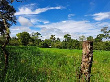 Cortijo de alto standing en venta Volcán, Provincia de Chiriquí 130652 LuxuryEstate. Com