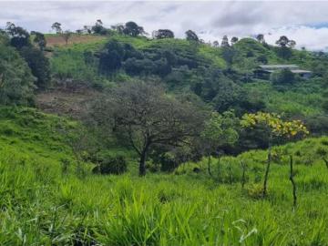 Cortijo de alto standing en venta Volcán, Provincia de Chiriquí 130037 LuxuryEstate. Com