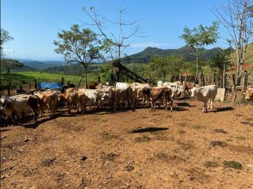 Cortijo de alto standing en venta Veraguas, Provincia de Veraguas