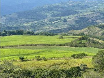 Cortijo de alto standing en venta Viterbo, Departamento de Caldas