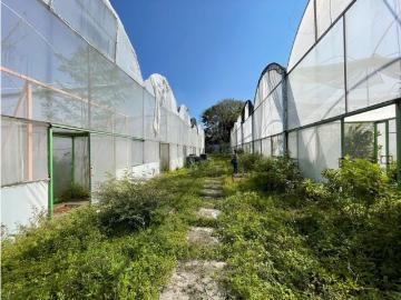 Cortijo de alto standing en venta Yautepec de Zaragoza, Estado de Morelos